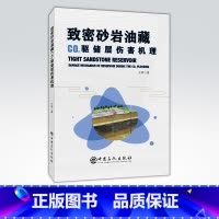 [正版]致密砂岩油藏CO2驱储层伤害机理 砂岩、油藏、储层、保护 可供石油工程从业者参考阅读 中国石化出版社