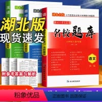 [名校题库]语文+数学+英语 小学升初中 [正版]2024新版 名校题库小升初择校分班语文数学英语校考总复习 湖北名校小
