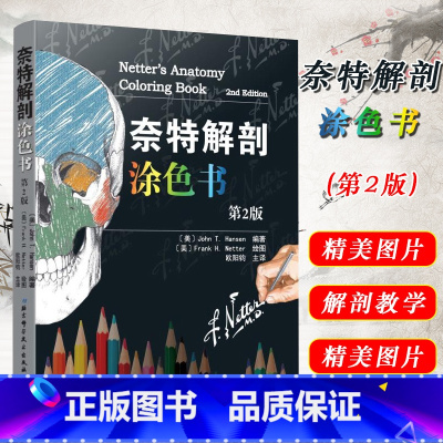 [正版] 奈特解剖涂色书第2版第二版 人体解剖图谱 解剖结构参考工具书籍 解剖学要点教程 北京科学技术出版社978753