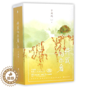 [醉染正版]许我向你看(插图纪念版) 百花洲文艺出版社 辛夷坞 著 青春/都市/言情/轻小说