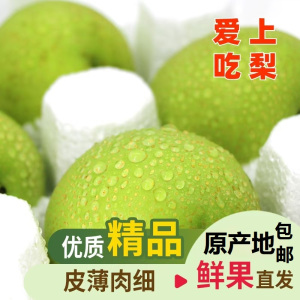 青皮蜜梨砀山翠冠梨净重4.5斤新鲜当季果园直采砀山脆梨水果 甜脆多汁 送礼公司福利采购
