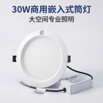龙腾图智 LED嵌入式筒灯 LT513-30W 套