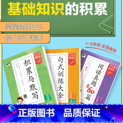 [3本]阅读真题60篇+积累+句式⭐上册 二年级上 [正版]2024秋新版53小学基础练句式训练大全一二三年级小学语