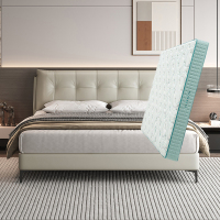 喜临门 暖暖++光年plus3.0 真皮双人床 主卧大床现代简约风卧室婚床家具 暖暖[床架] +光年plus3.0床垫