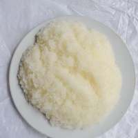 建玖 TPU强碱性阴离子树脂5836P 0.013~0.019mm 执行标准:DB44/T1121 单位:25kg