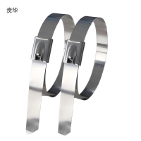 贲华 不锈钢扎带 800x16mm 个