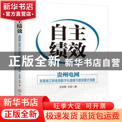 正版 自主绩效(贵州电网凯里麻江供电局数字化建模与绩效模式观察