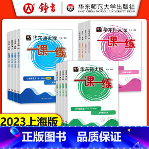 语文 增强版 六年级下 [正版]2023华东师大版一课一练六年级上七年级上册八九年级物理 语文数学英语化学普通版增强版加