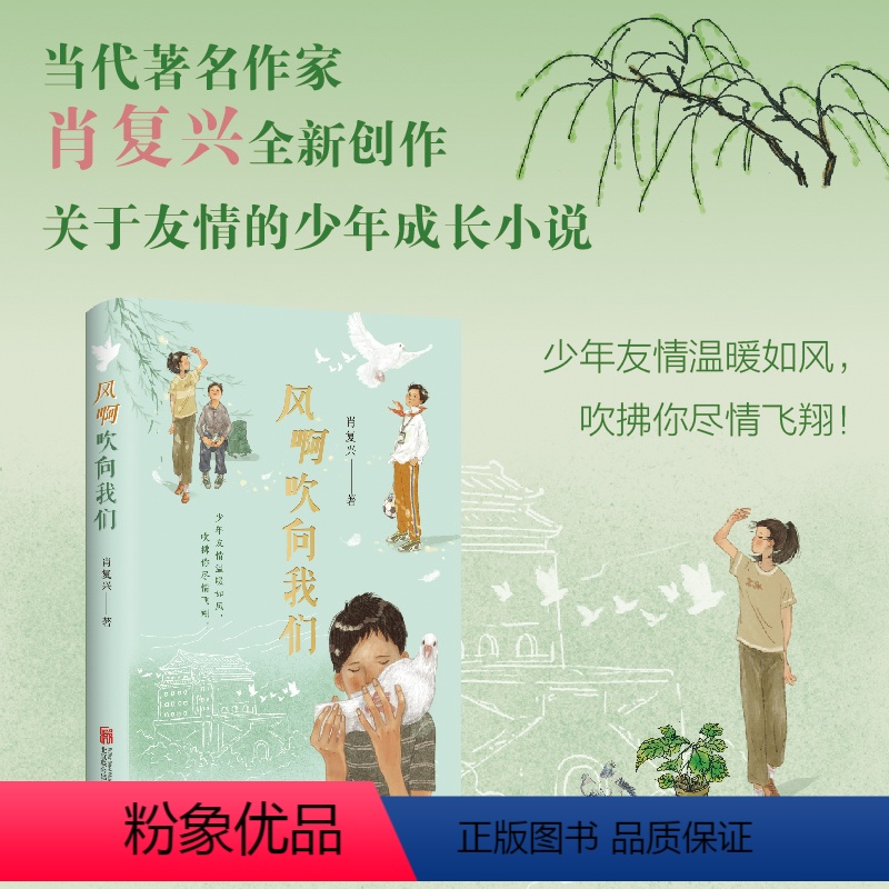 [正版]风啊吹向我们 当代著名作家肖复兴ZUI新创作关于友情的少年成长小说少年友情温暖如风吹拂你尽情飞翔 京味儿十足的