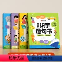 [全四本]学前识字造句书 [正版]学前识字造句书 幼儿3-6岁趣味看图早教启蒙书幼小衔接 趣味识字学前早教幼小衔接一日一
