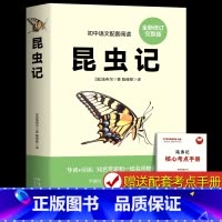 [配套人教版]昆虫记 [正版]红星照耀中国和昆虫记原著完整版 八年级上册必读名著课外书 法布尔著初二初中生课外阅读书籍西