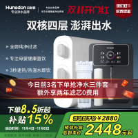 汉斯顿/Hunsdon家用0阻垢剂添加净水器管线机套装厨下式净饮机RO反渗透净水机过滤器母婴直饮厨房纯水机D3