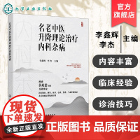 中医内科书 名老中医升降理论治疗内科杂病 内科杂病学术思想及临证经验 升降理论的实际应用 诊治思路与处方用药中医临床医师