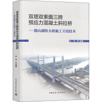 双塔双索面三跨预应力混凝土斜拉桥:微山湖特大桥施工关键技术
