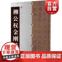 中国碑帖经典柳公权金刚经 方传鑫著 上海书画出版社 中国碑帖经典