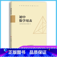 [正版] 初中数学用表 数学概念公式定律术语图表手册 初中数学定律公式定理速查 公式定理基础知识大全 中考总复习辅导