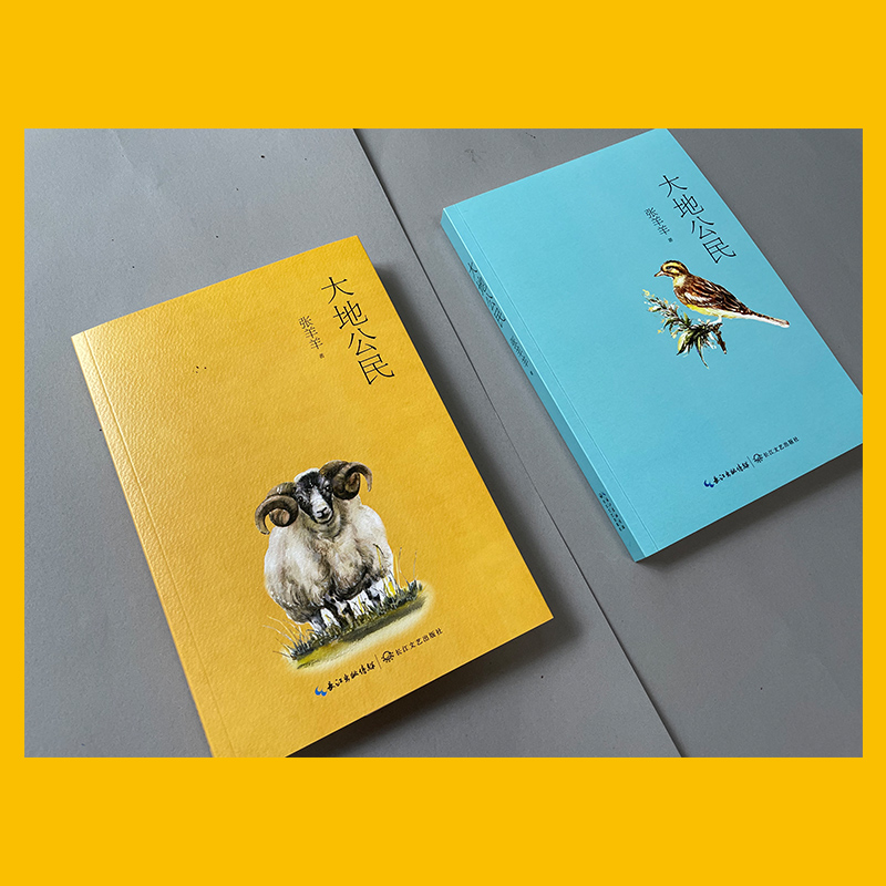 [M]大地公民 张羊羊 著 -9787570221714