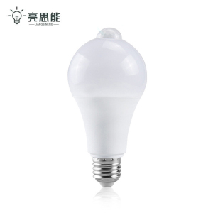 亮思能 LED人体感应灯泡 球泡 LSN-E27 12W 个 默认颜色 默认类型