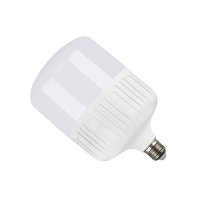 依诺九吉 LED灯泡 30W 个