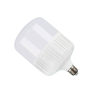 依诺九吉 LED灯泡 30W 个 白色 30W