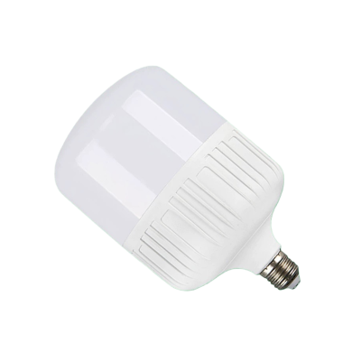 依诺九吉 LED灯泡 30W 个