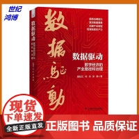 正版 数据驱动 数字经济的产业路径和治理 雷钰云 何忠 张静著中国科学技术出版社 经济管理 数字经济 978752361