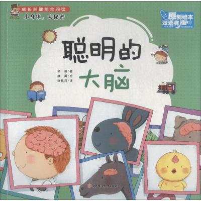 正版新书]成长关键期全阅读.小身体大秘密?聪明的大脑韩丽978755