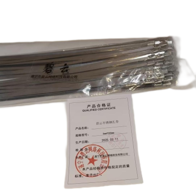 碧云不锈钢扎带 5mm*300mm 根