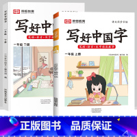 一年级上下册[语文字帖] [正版]抖音同款小学生英语同步字帖衡水体一二三四五六年级上下册人教版英文单词字母描红练字本语文