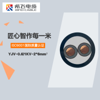 希飞牌 YJV-0.6/1KV-2*6mm² 铜芯低压电缆 元/米 联系客服 定制商品