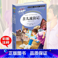 [正版]满49苦儿流浪记 小学生青少年版课外阅读书籍三四五六年级课外书必读世界经典名著3-6年级9-12岁必读经典名著童