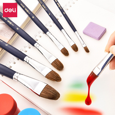得力(deli）画笔套装美术绘画文具装备舌形头尼龙毛猪鬃画笔水彩油画水粉笔美术学生专用笔刷6支装颜料涂鸦画画