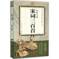 诺森彩图全解宋词三百首思履主编9787511357748中国华侨出版社