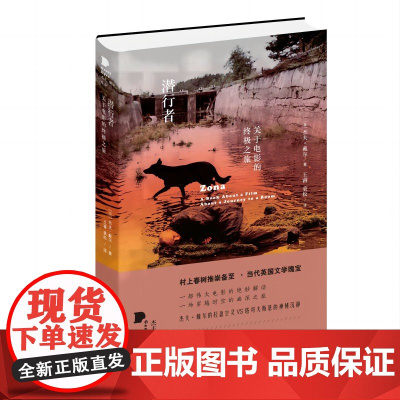 潜行者:关于电影的之旅(杰夫·戴尔作品系列)