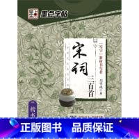 [正版]宋词三百首(楷书)/经典文化系列字帖