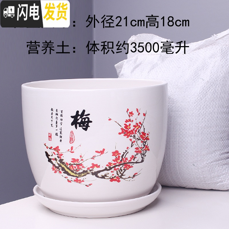 三维工匠特大号花盆陶瓷简约吊兰创意绿萝家用阳台多肉花盆带托盘 303红梅特大号+土 特大花盆容器