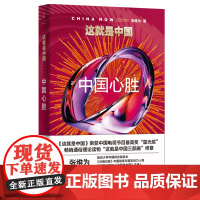 这就是中国 中国心胜 张维为 著 政治