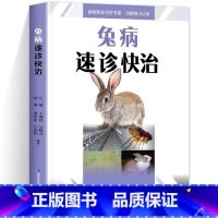 [正版] 兔病速诊快治 养兔技术书籍大全 兔病治疗书籍高效科学养兔规模化养殖饲养喂养 养兔小尾兔散养圈养快速出栏方法技