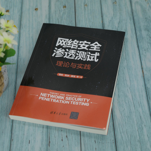 网络安全渗透测试理论与实践