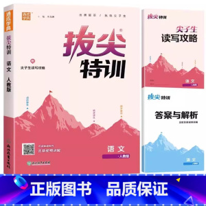 [单本]语文(人教版) 二年级上 [正版]三年级下册拔尖特训一年级二年级四五六年级上册语文数学英语人教版pep北师大苏教