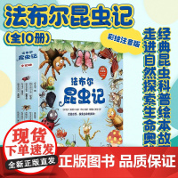 法布尔昆虫记全10册 彩绘注音版 小学一二三年级课外阅读儿童阶梯阅读幼小衔接读物老师经典昆虫科普童话故事绘本书