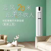 长虹(CHANGHONG) 大3匹空调 新一级能效 冷暖变频 空调立式柜机 KFR-72LW/ZDFCW1+R1