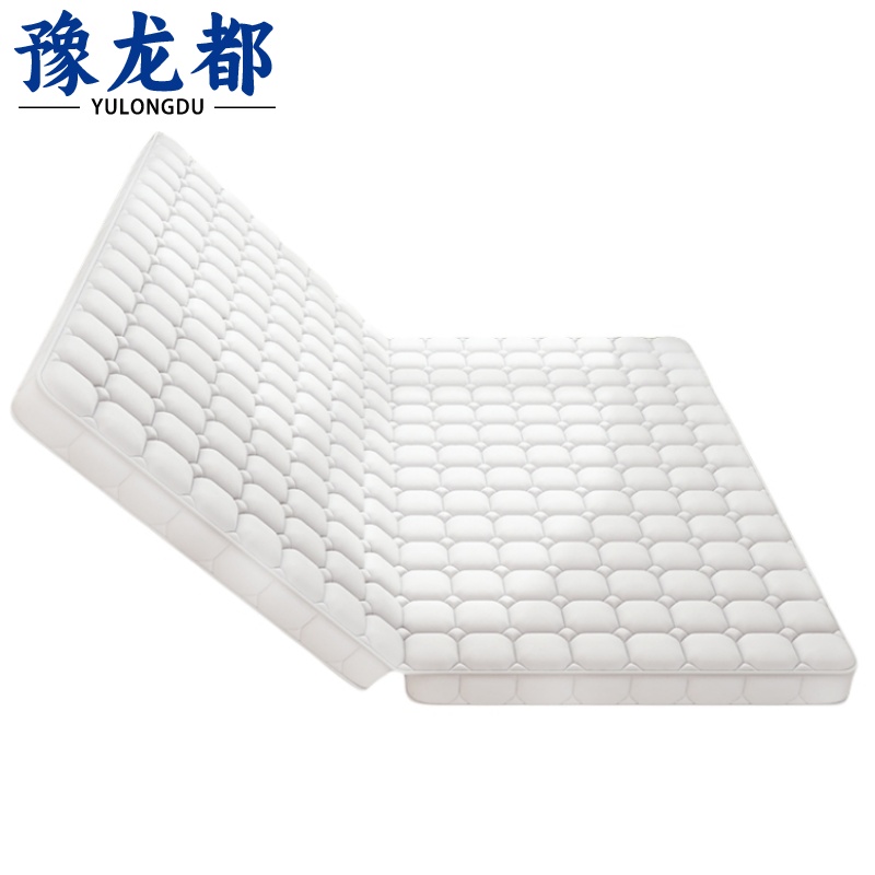 豫龙都 椰棕床垫 1m 张