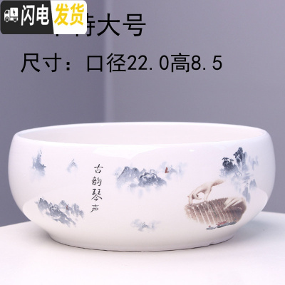 三维工匠大号铜钱水培花盆陶瓷金钱简约水养一叶莲碗莲水仙花 水培(琴声)一个特大号 大花盆容器