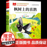 枫树上的喜鹊彩图注版版课文作家作品小学二年级必读课外书老师阅读青少年读物适合7-10-12岁看的经典书目北京教育出版社正