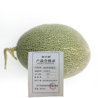 新全新西周蜜瓜500克/份
