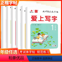 一年级下 [正版]2024新版爱上写字状元笔迹衡中考试体字帖小学 生一1二2三3四4五5六6年级上下册人教版语文练字帖写