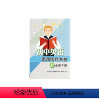 七年级下 初中通用 [正版]苏教版初中英语课课练检测卷七年级下册配套试卷译林版初一7初中同步教辅7年级下册译林出版社无答