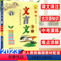 文言文全解 初中通用 [正版]初中语文文言文全解完全解读翻译书一本通人教版七八九年级上下册初中古诗文译注及赏析必背古诗词