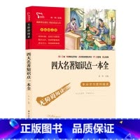 四大名著知识点一本全 [正版]书籍 四大名著知识点一本全(中小学生课外阅读指导丛书)无障碍阅读 彩插励志版
